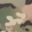 Multicam